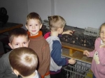grudzien74