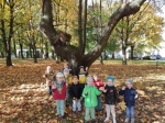 IMG-20221010-WA0012