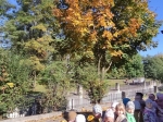 IMG-20221010-WA0018