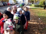 IMG-20221110-WA0008