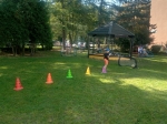 IMG-20230929-WA0016