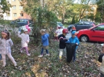 IMG-20231004-WA0013