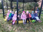 IMG_20231109_111302