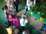 IMG_20240229_110049