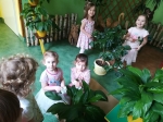 IMG_20240229_111416