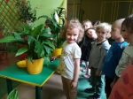 IMG_20240229_111509