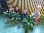 IMG_20240229_112708