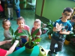 IMG_20240229_114207
