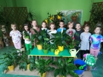 IMG_20240229_114608