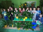 IMG_20240229_114807