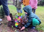 IMG-20251010-WA0011