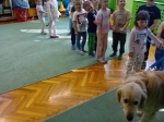 IMG-20260424-WA0009