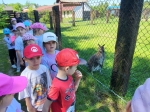 IMG-20260526-WA0042