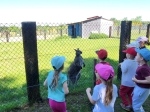 IMG-20260526-WA0043