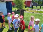 IMG-20260526-WA0049