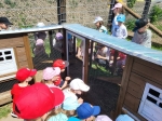 IMG-20260526-WA0050