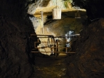 IMG-20250508-WA0019